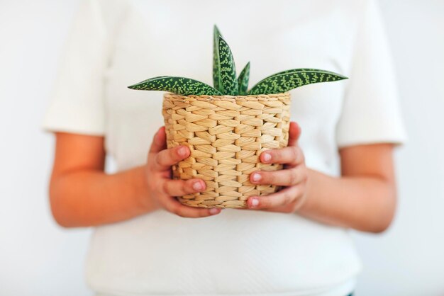 A close-up shot of a hand placing a lush green plant into a woven basket. The background is blurred, suggesting an indoor environment with natural light filtering through a window. This symbolizes bringing nature indoors and a commitment to growing a sustainable lifestyle.