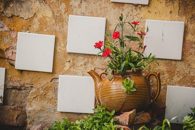 A close-up shot of a gallery wall with a variety of framed prints, including botanical illustrations, abstract art, and handwritten quotes. The frames are in different sizes and styles, creating a visually interesting composition.